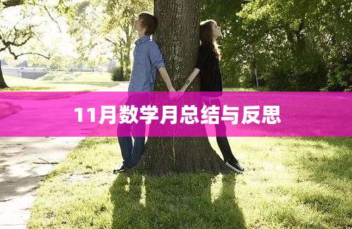 11月数学月总结与反思