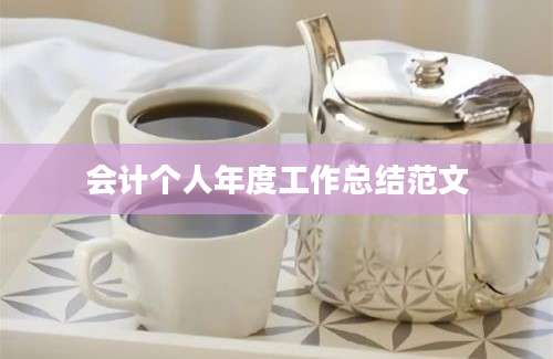 会计个人年度工作总结范文