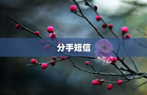 分手短信