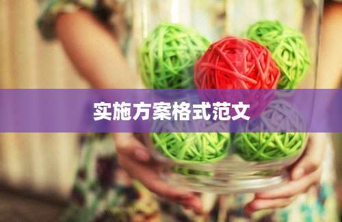 实施方案格式范文