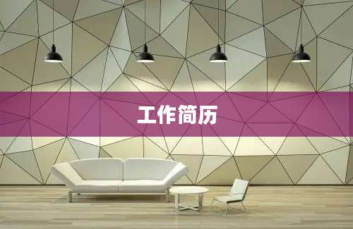 工作简历
