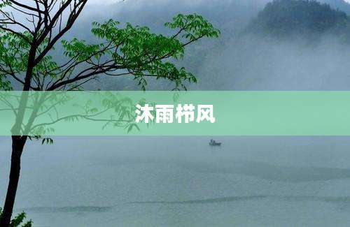 沐雨栉风