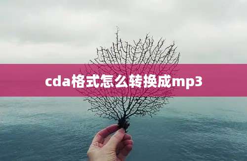 cda格式怎么转换成mp3