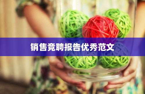 销售竞聘报告优秀范文