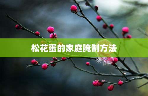 松花蛋的家庭腌制方法
