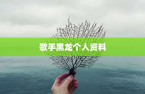 歌手黑龙个人资料