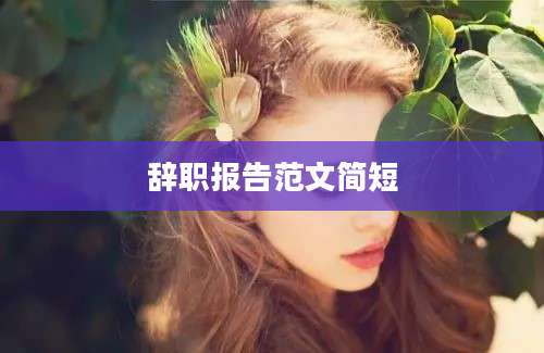 辞职报告范文简短