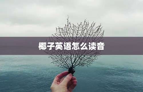 椰子英语怎么读音