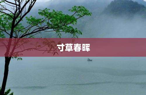 寸草春晖