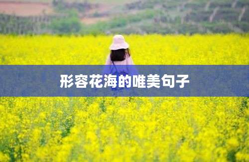 形容花海的唯美句子