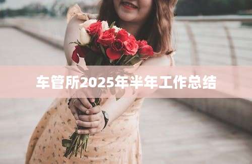 车管所2025年半年工作总结
