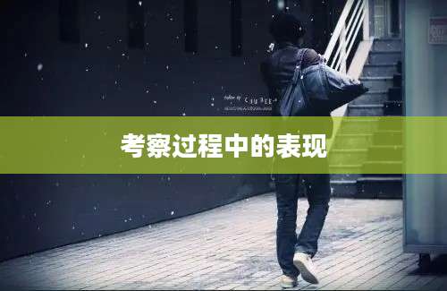 考察过程中的表现