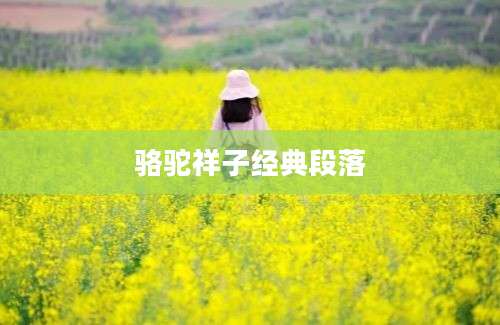 骆驼祥子经典段落