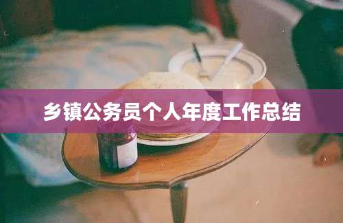 乡镇公务员个人年度工作总结