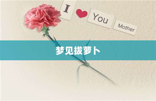 梦见拔萝卜