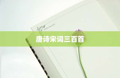 唐诗宋词三百首