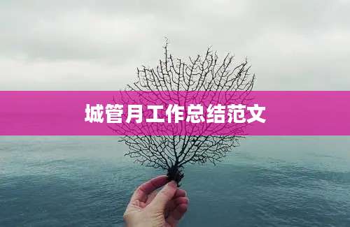 城管月工作总结范文