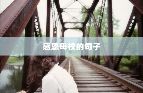 感恩母校的句子