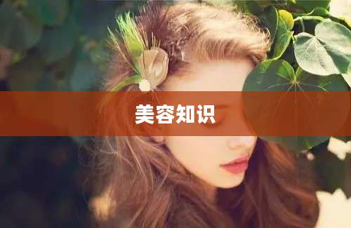 美容知识