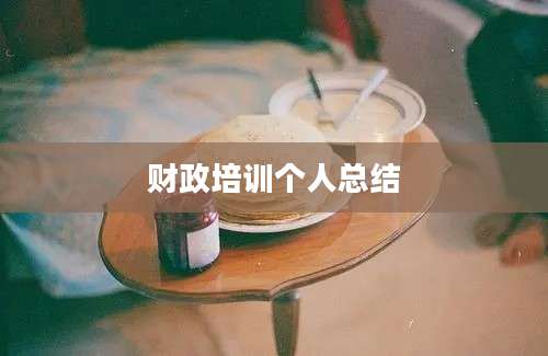 财政培训个人总结