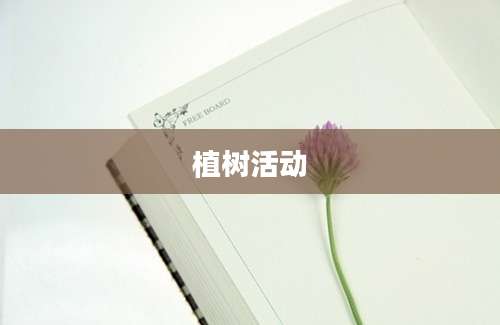 植树活动