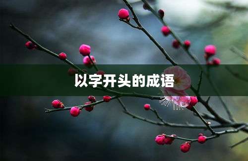 以字开头的成语