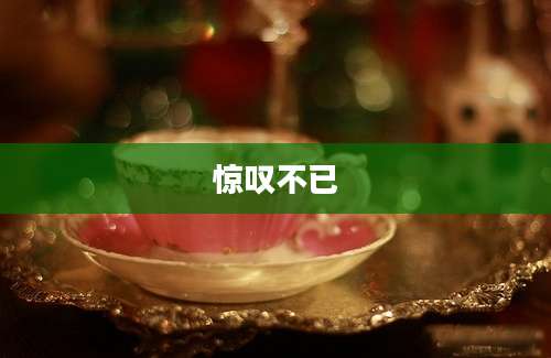 惊叹不已