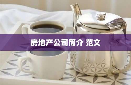 房地产公司简介 范文
