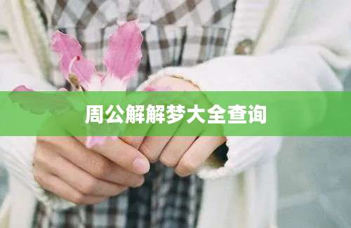 周公解解梦大全查询