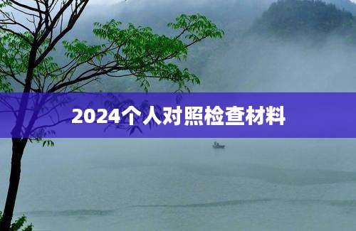 2024个人对照检查材料
