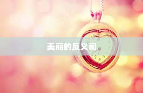 美丽的反义词