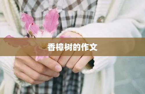 香樟树的作文