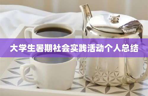 大学生暑期社会实践活动个人总结