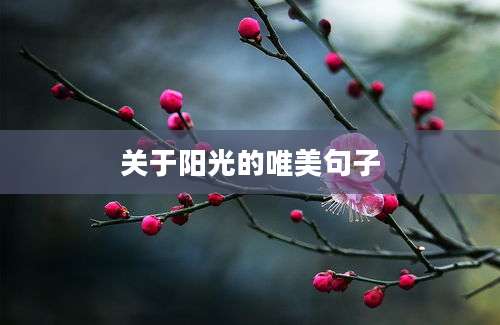 关于阳光的唯美句子