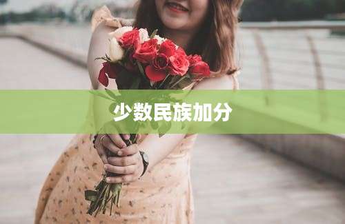 少数民族加分