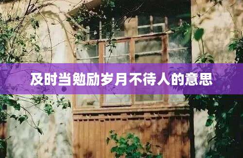 及时当勉励岁月不待人的意思