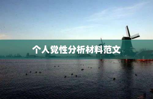 个人党性分析材料范文