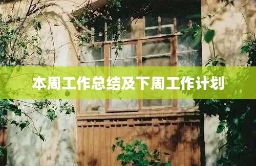 本周工作总结及下周工作计划