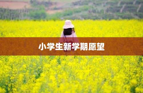 小学生新学期愿望
