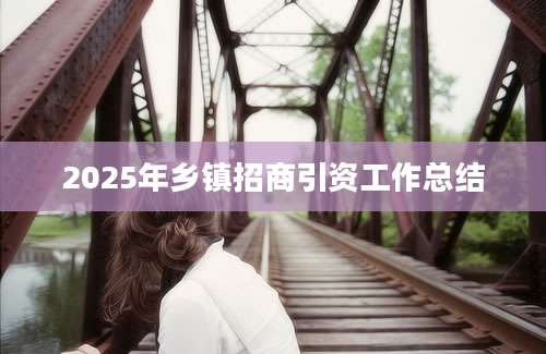 2025年乡镇招商引资工作总结