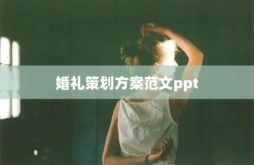 婚礼策划方案范文ppt