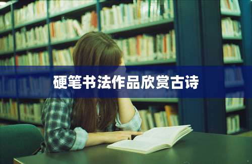 硬笔书法作品欣赏古诗