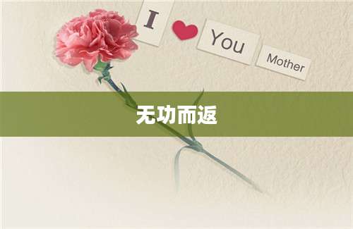 无功而返