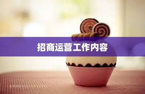 招商运营工作内容