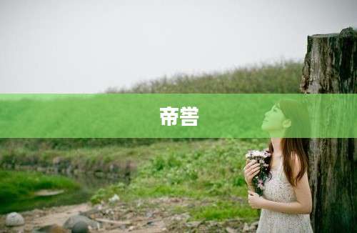 帝喾