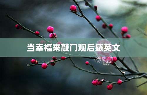 当幸福来敲门观后感英文