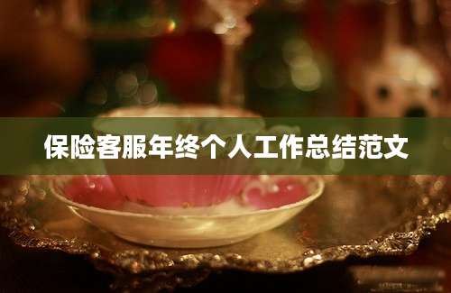 保险客服年终个人工作总结范文