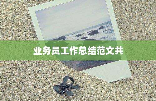 业务员工作总结范文共