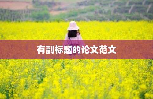 有副标题的论文范文