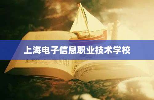 上海电子信息职业技术学校